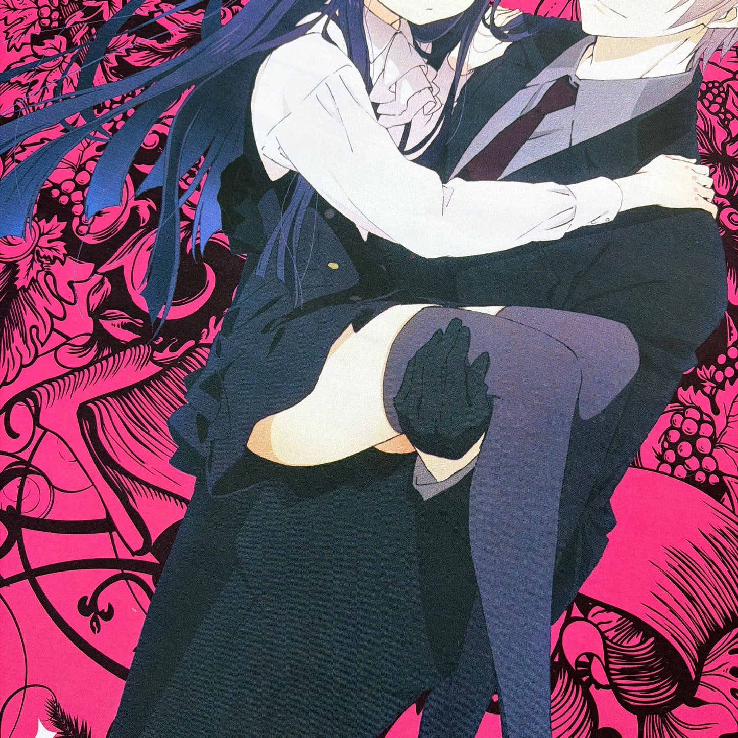 Inu x Boku Secret Service Wall Scroll Sentai Filmworks 43 x 33 Pink Anime