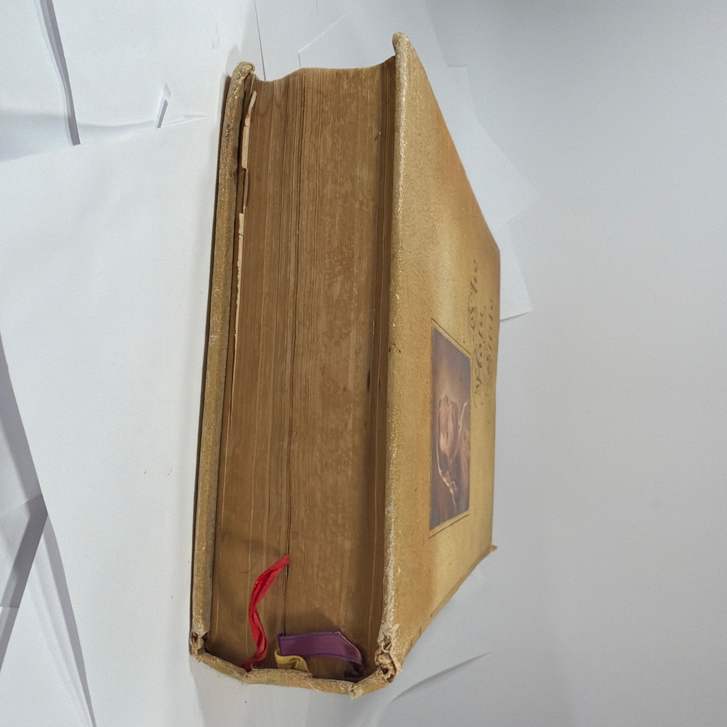 Vintage Golden Rule Edition Holy Bible Tan Cover