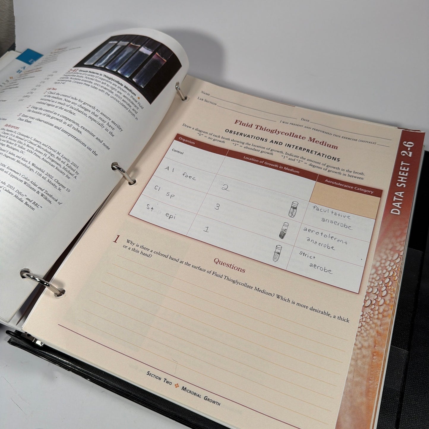 Microbiology Laboratory Theory & Application Brief 2nd Ed Leboffe Pierce WSU