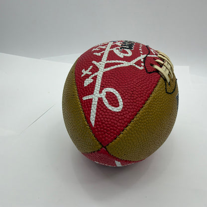 Wilson NFL San Francisco 49ers Junior Football 9 Inch