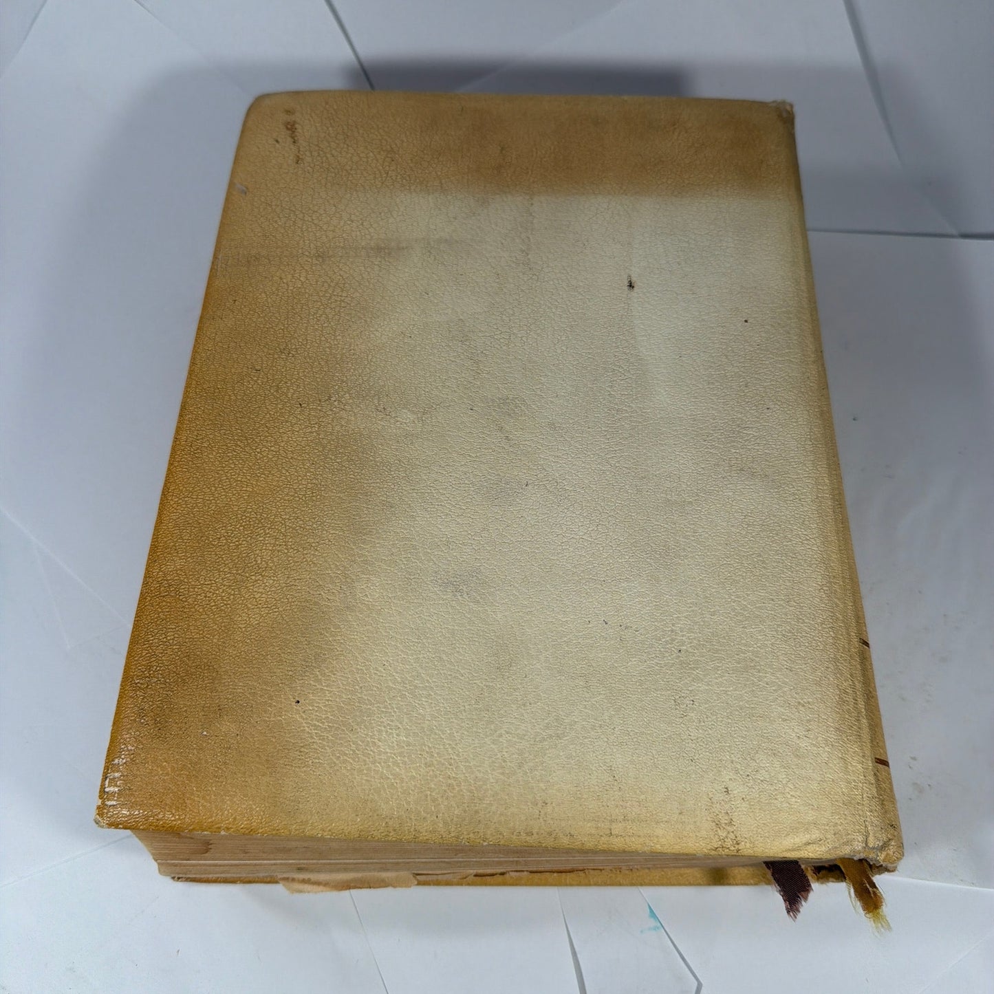 Vintage Golden Rule Edition Holy Bible Tan Cover