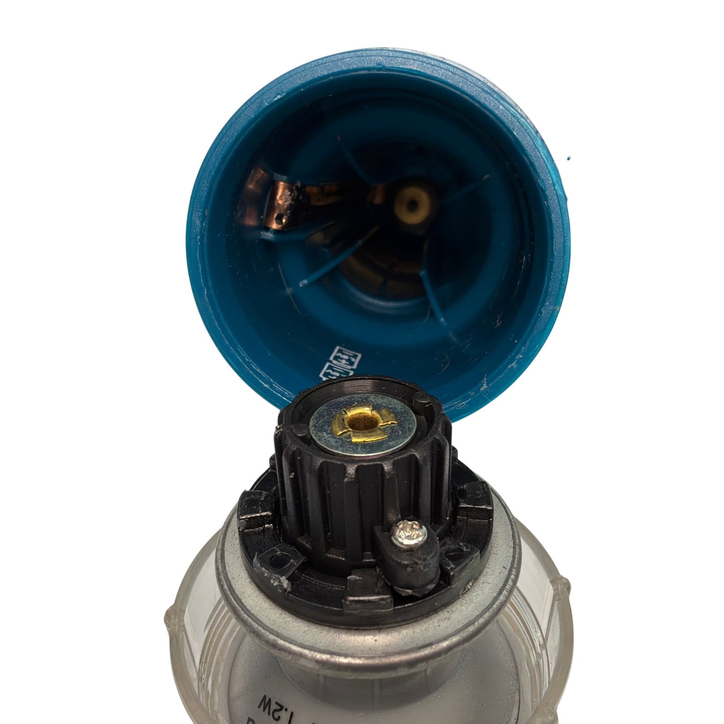 Energizer Disney Pixar Finding Nemo Bruce Flashlight Blue